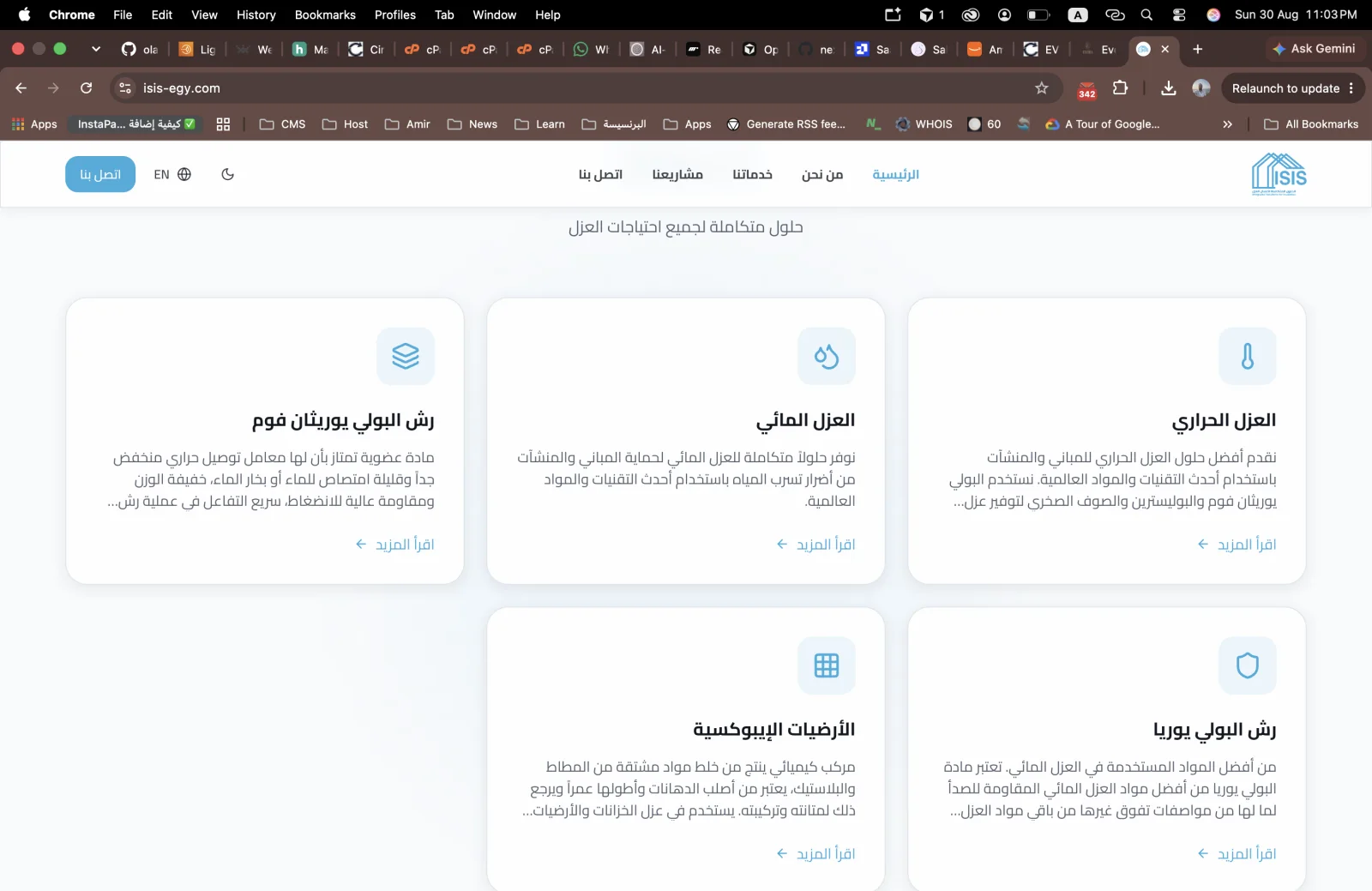 ISIS Insulation desktop screen 3